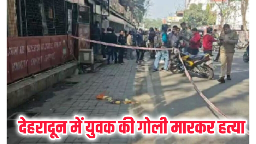 InShot_20260211_173351969