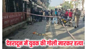 InShot_20260211_173351969