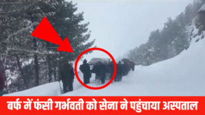 InShot_20260211_202434549